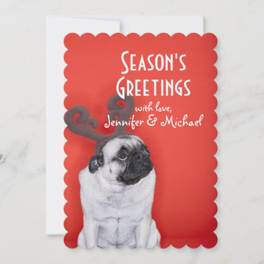 トナカイを着たプリン〔雄ジカの〕枝角 (正面)