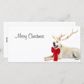 トナカイイエロー・ラブラドール・レトリーバー シーズンカード (正面/裏面)