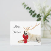 トナカイイエロー・ラブラドール・レトリーバー シーズンポストカード (スタンド正面)