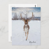 トナカイパーソナライズされたの写真 ポストカード (正面/裏面)