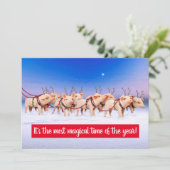 トナカイピッグス 招待状 (スタンド正面)