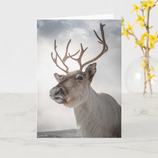 トナカイ写真 カード (黄色い花)