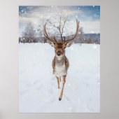 トナカイ写真 ポスター (正面)