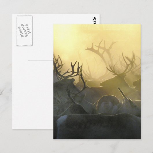 トナカイ群 ポストカード (正面/裏面)
