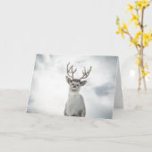 トナカイ自然写真 カード (黄色い花)