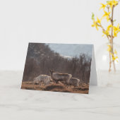 トナカイ自然写真 カード (黄色い花)