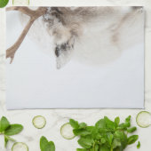 トナカイ自然写真 キッチンタオル (折り畳み)