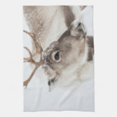 トナカイ自然写真 キッチンタオル (縦)