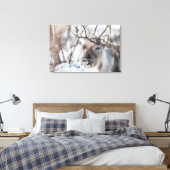 トナカイ自然写真 キャンバスプリント (インサイチュ (寝室))