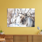 トナカイ自然写真 キャンバスプリント (インサイチュ (リビング))