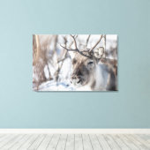 トナカイ自然写真 キャンバスプリント (インサイチュ (ウッドフロア))