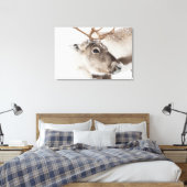 トナカイ自然写真 キャンバスプリント (インサイチュ (寝室))