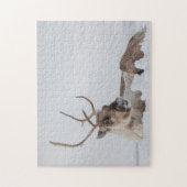 トナカイ自然写真 ジグソーパズル (縦)