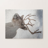 トナカイ自然写真 ジグソーパズル (横)