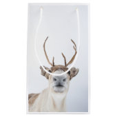 トナカイ自然写真 スモールペーパーバッグ (正面)