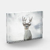 トナカイ自然写真 フォトブロック (左)
