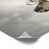 トナカイ自然写真 ポスター (角)