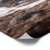 トナカイ自然写真 ポスター (角)