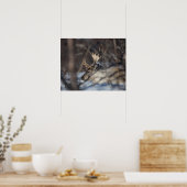 トナカイ自然写真 ポスター (キッチン)