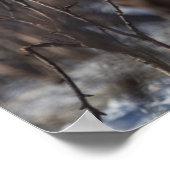 トナカイ自然写真 ポスター (角)