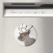 トナカイ自然写真 マグネット (インサイチュ (食洗機))