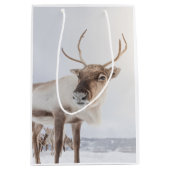 トナカイ自然写真 ミディアムペーパーバッグ (正面)