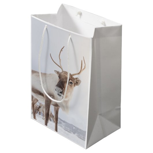 トナカイ自然写真 ミディアムペーパーバッグ (正面アングル)