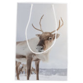 トナカイ自然写真 ミディアムペーパーバッグ (裏面)