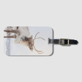 トナカイ自然写真 ラゲッジタグ (正面横)