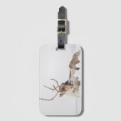 トナカイ自然写真 ラゲッジタグ (正面縦)