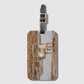 トナカイ自然写真 ラゲッジタグ (正面縦)