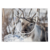 トナカイ自然写真 ラージペーパーバッグ (正面)