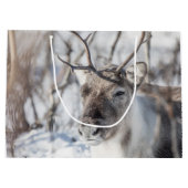 トナカイ自然写真 ラージペーパーバッグ (裏面)