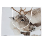 トナカイ自然写真 ラージペーパーバッグ (正面)