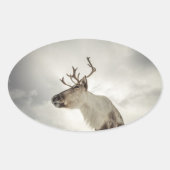 トナカイ自然写真 楕円形シール (正面)