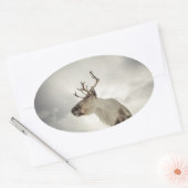 トナカイ自然写真 楕円形シール (封筒)