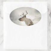 トナカイ自然写真 楕円形シール (バッグ)