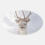 トナカイ自然写真 楕円形シール (正面)