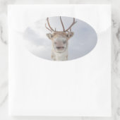 トナカイ自然写真 楕円形シール (バッグ)