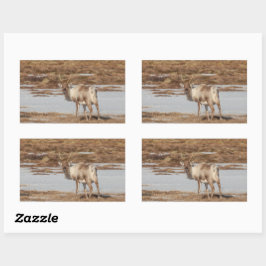 トナカイ自然写真 長方形シール