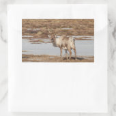 トナカイ自然写真 長方形シール (バッグ)