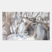 トナカイ自然写真 長方形シール (正面)