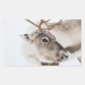 トナカイ自然写真 長方形シール (正面)