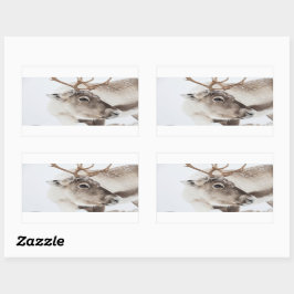 トナカイ自然写真 長方形シール