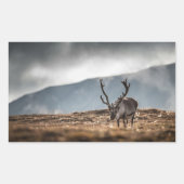 トナカイ自然写真 長方形シール (正面)