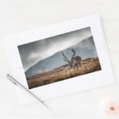 トナカイ自然写真 長方形シール (封筒)