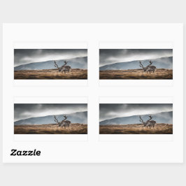 トナカイ自然写真 長方形シール