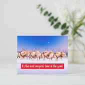 トナカイ豚 インビテーションポストカード (スタンド正面)