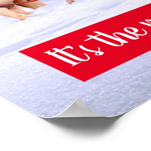 トナカイ豚 ポスター (角)