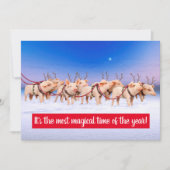 トナカイ豚 招待状 (正面)